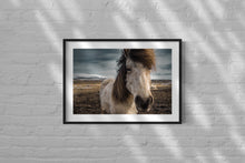 Load image into Gallery viewer, Icelandic Horse Portrait
