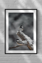 Load image into Gallery viewer, Two Chickadees Keeping Watch
