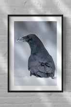 Load image into Gallery viewer, Mystery of the Raven
